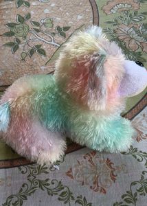 Rainbow Plush Puppy