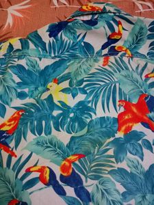 Imported Party Mood Goa Shirt For Kids Size 10