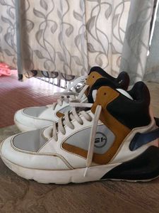 sneaker