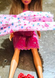 Barbie In Indian Complextion