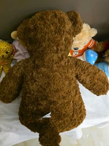 Cute Brown Teddy Bear