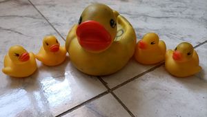 Kids Toy Ducks