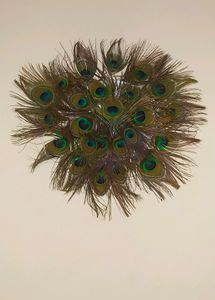 Wall Decorating Peace With Peacock Feather