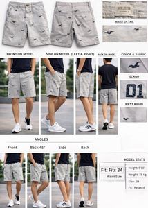Hollister Original Branded Shorts bought from USA