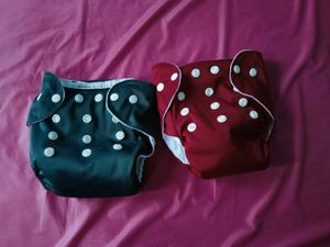 Reusable Cloth Diaper Pack (2)