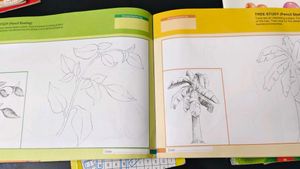 Kids colouring and cursive practice  combo of 3