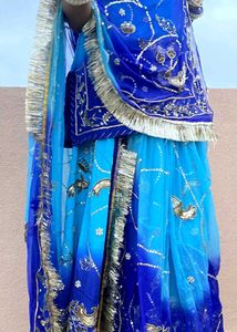 royal rajputi poshak
