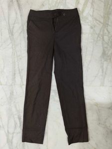 Brown Formal Pants