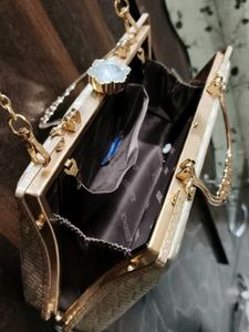 Elegant Clutch with Chain Strap