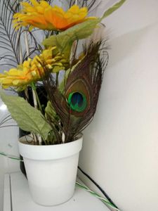 Boho Peacock Feather & Sunflower Decor