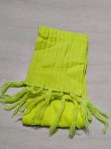 Neon Scarf with Fringe