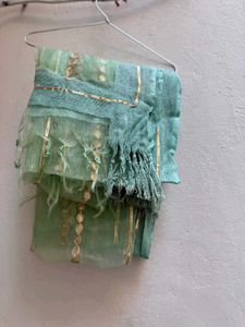 Elegant Embroidered Dupatta