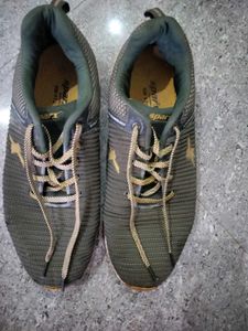 Sparx Men's Green Running Shoes