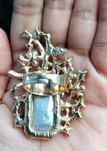 Exquisite Red Gem Brooch