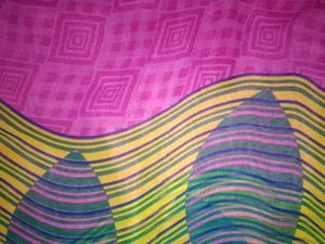 Vibrant Striped saree