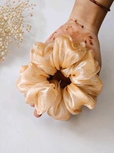 Elegant Champagne Scrunchie