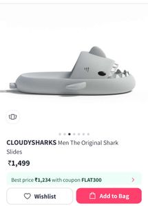 Grey Shark Slides