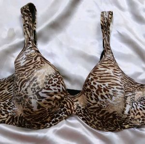 Animal Print Bra