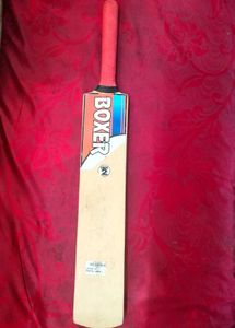 Kids cricket bat