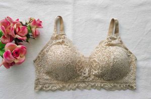 Lace Trim Comfort Bralette