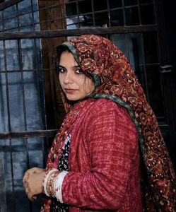 combo Saree for fastival
