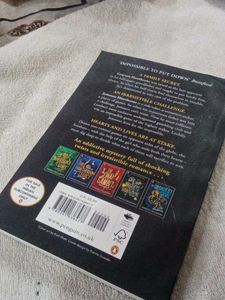 The Brothers Hawthorne Novel