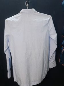 New Cotton Shirt
