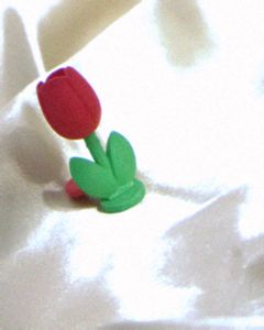 Red Tulip Show Case On Table Plus Eraser | Well