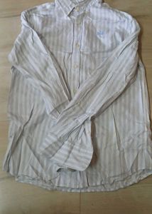 Striped Button-Down Shirt