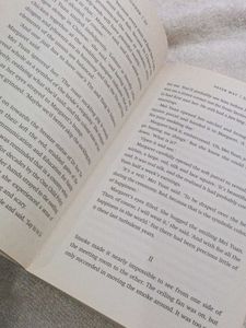 The Runner by Peter May original book