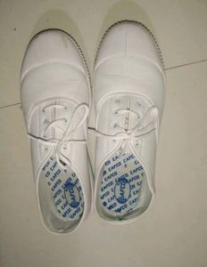 P.T Shoes