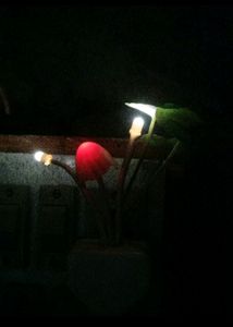 Mushroom Light