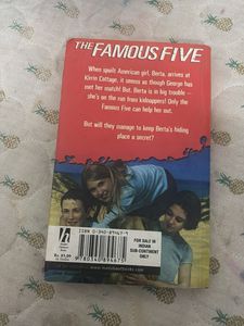 The Famous Five: Five Have Plenty of Fun