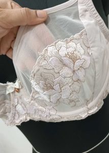 Elegant Lace Trimmed Bra 36DD