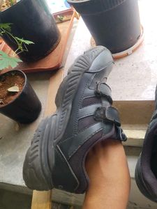 Branded Campus New  Black School And Casual Shoe
