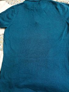 The bear house 🐻 Teal Textured Polo Shirt
