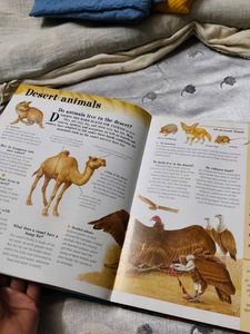 Amazing Book of Questions &amp; Answers