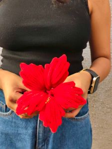 Pipe Cleaner Hibiscus for Bappa