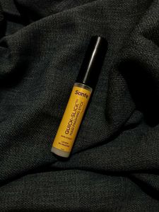Sanfe Quick-Slick Hair Finishing Stick