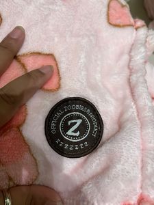 Winnie the Pooh plushie with blanket