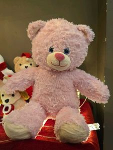 Pink Teddy Bear