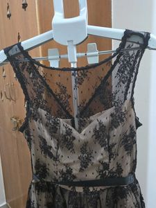 Elegant Lace Sheer Dress