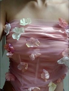 ❗LuLu and Sky❗ Corset Top