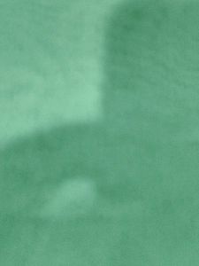 Beautiful Green Dupatta