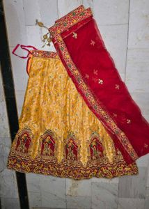 Gorgeous Lehenga Choli