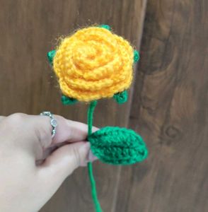 Handmade Crocheted colorful Roses 💐