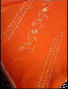Orange Saree with Floral Embroidery