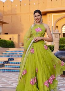 Stunning Hand painted Lime Green Lehenga Choli