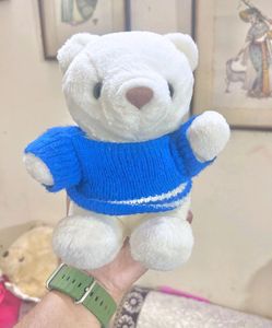 Cute Teddy 🧸