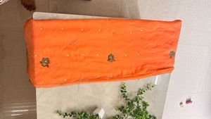 Orange Saree with Embellishments